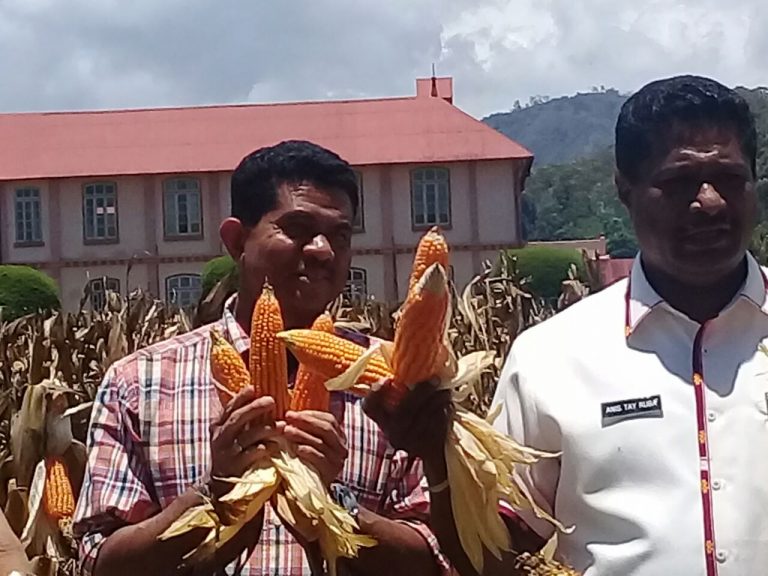 WhatsApp Image 2018-03-06 at 10.42.05